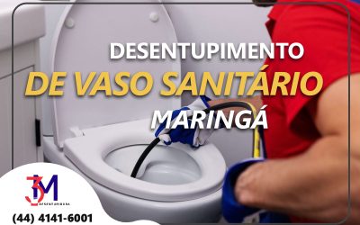 Desentupimento de Vasos Sanitários em Maringá: Soluções Rápidas e Eficazes com a Desentupidora 3M Maringá